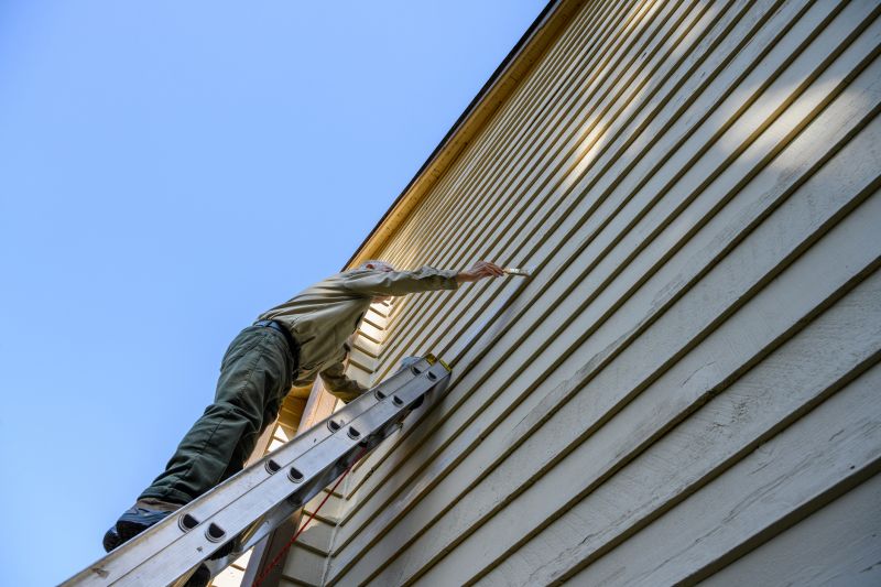 Siding Painting Service detail