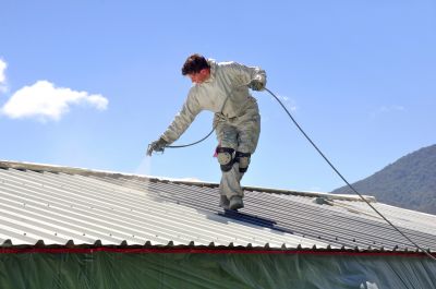 Roof Painting Service